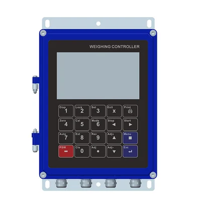 2026 New Belt Scale Weighing Instruments for Continuous Metering System, Belt Weighing Scales with OEM Customizable