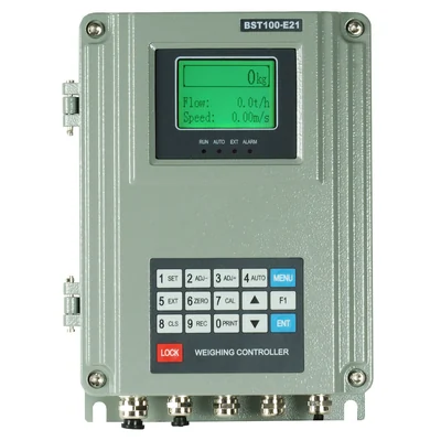 Wall Mounted LCD Display Conveyor Belt Weighing System, Belt Scale System With Di Do Ao for Stone Mining, BST100-E21